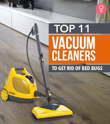 11 Best Vacuum Cleaners To Keep The Bed Bugs Away – 100% Effective