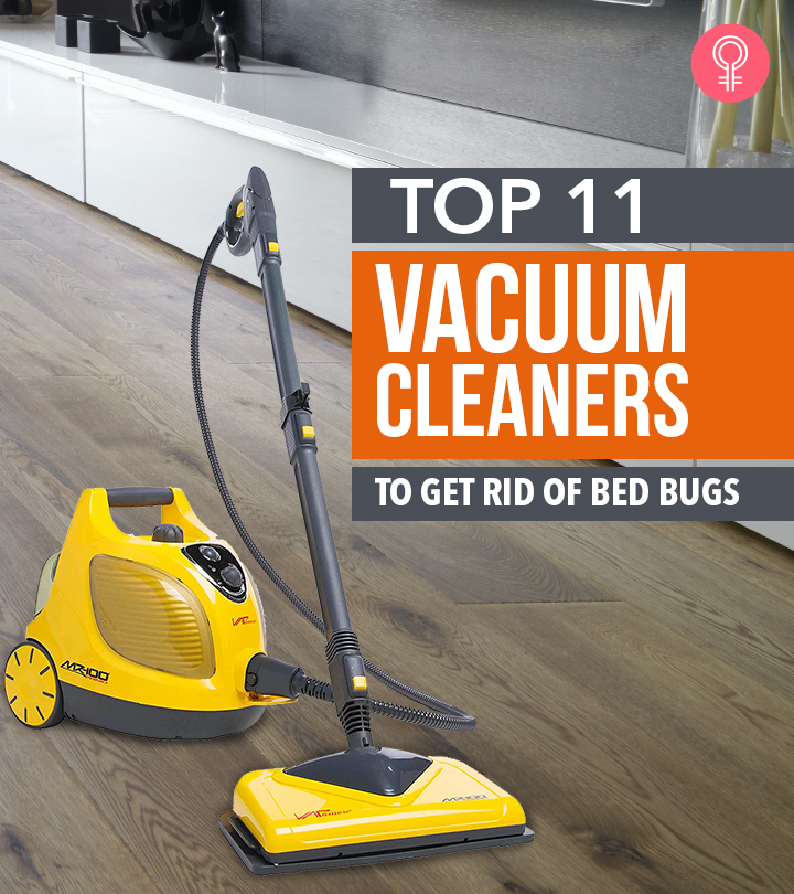 11 Best Vacuum Cleaners To Keep The Bed Bugs Away – 100 ...