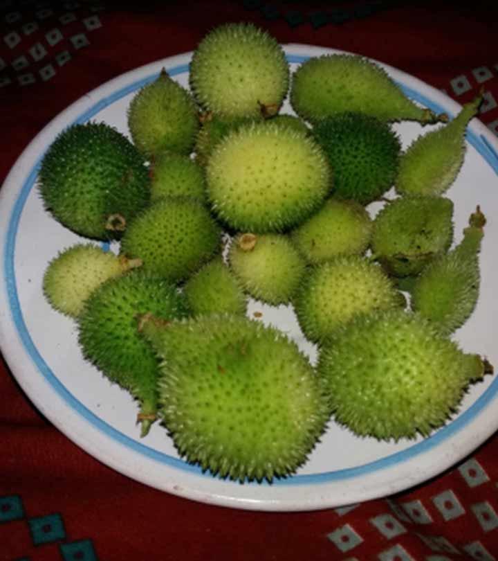 Bitter gourd benefits in sale hindi