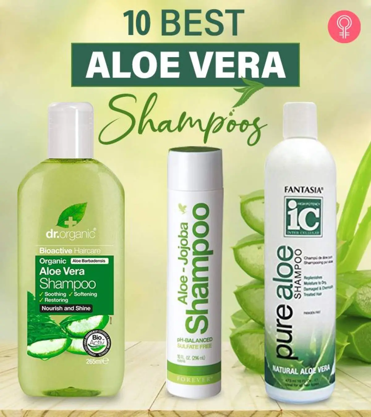 10 Best Aloe Vera Shampoos Of 2026, Hairstylist-Approved