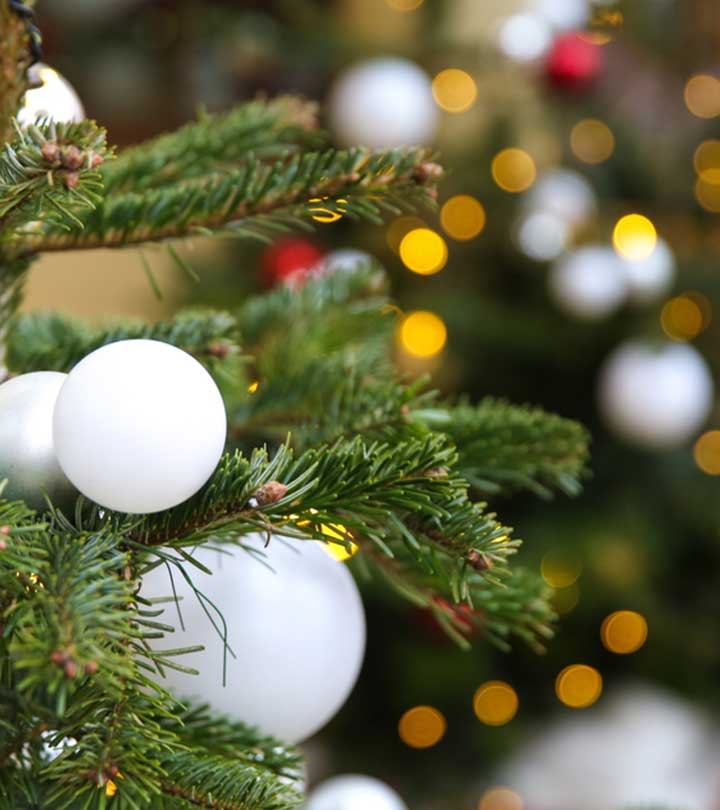 13 Unique Tree Decoration Ideas You Have To Give A Try This Christmas