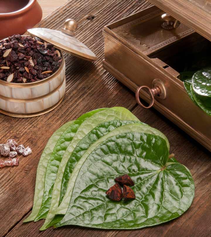 पान के पत्ते के 15 फायदे और नुकसान – Betel Leaf Benefits and Side Effects in Hindi