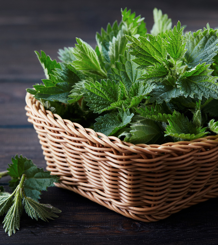 How To Use Nettle To Promote Hair Health