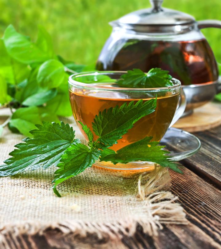नेटल टी पीने के 6 फायदे और नुकसान Nettle Tea Benefits and Side