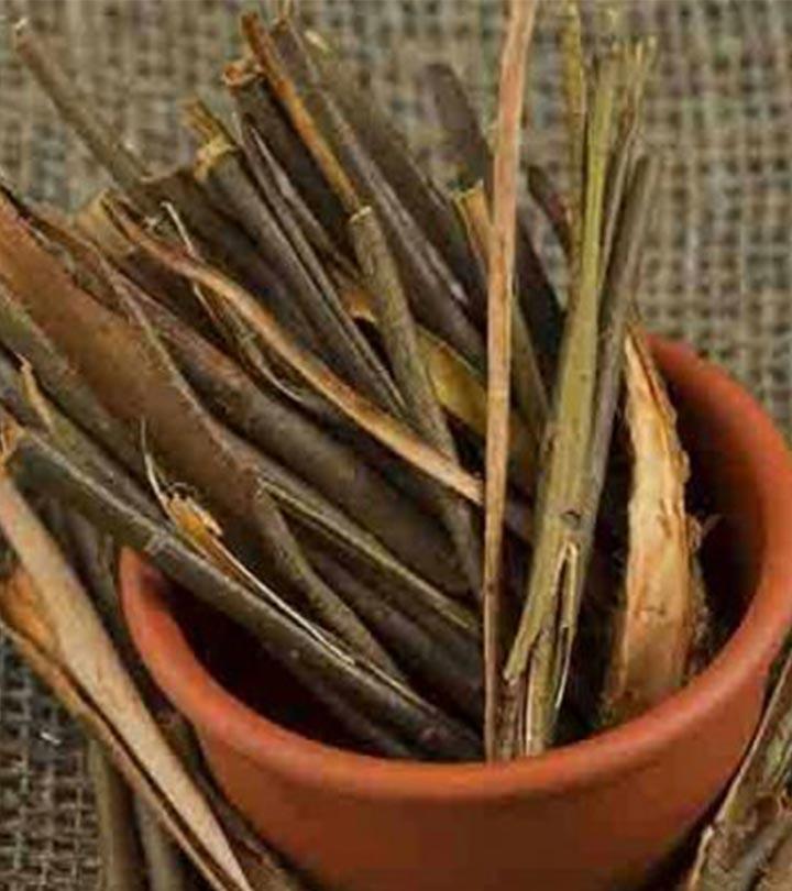 7 Benefits Of Willow Bark Extract For The Skin & How To Use It