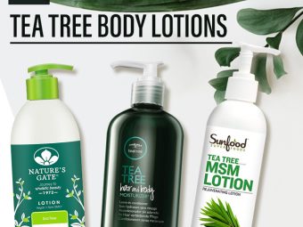7 Best Recommended Tea Tree Body Lotions