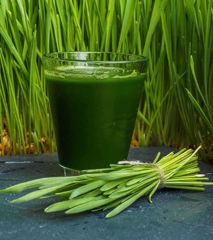 व्हीटग्रास जूस के फायदे और नुकसान – Wheatgrass Juice Benefits and Side Effects in Hindi