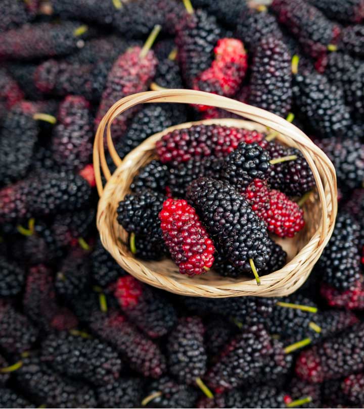 शहतूत के फायदे, उपयोग और नुकसान – Mulberry Benefits, Uses and Side Effects in Hindi