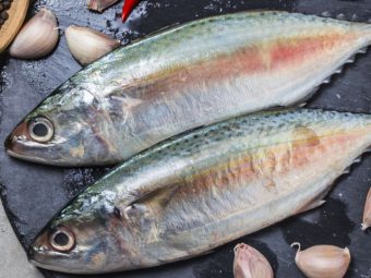 मैकेरल मछली के फायदे और नुकसान – Mackerel Fish Benefits and Side Effects in Hindi