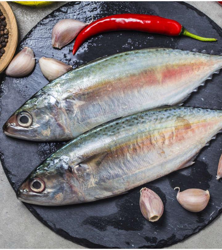 मैकेरल मछली के फायदे और नुकसान – Mackerel Fish Benefits and Side Effects in Hindi