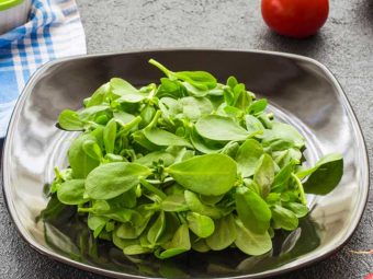 Purslane Benefits And Side Effects A Comprehensive Guide