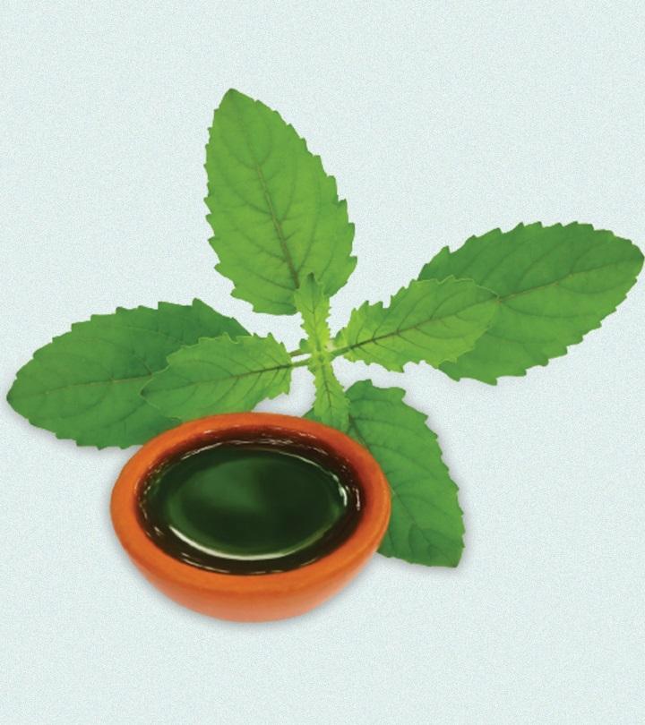 तुलसी अर्क के फायदे और नुकसान – Tulsi Ark Benefits and Side Effects in Hindi