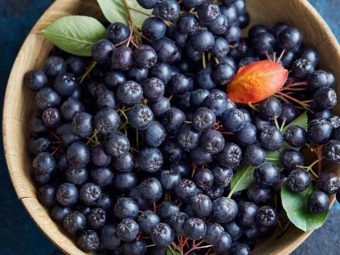 Aronia Berry Benefits (Chokeberries) And Side Effects