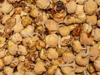 पनीर के फूल के फायदे, उपयोग और नुकसान – Paneer Ke Phool in Hindi