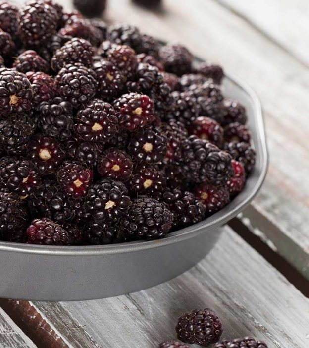 Boysenberry: All That You Need To Know
