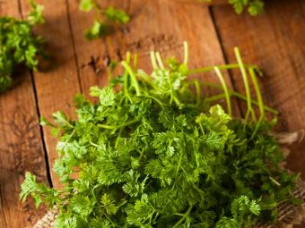 9 Health Benefits Of Chervil You Need To Know About