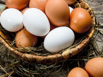 White Egg Vs. Brown Egg: Are They Any Different?