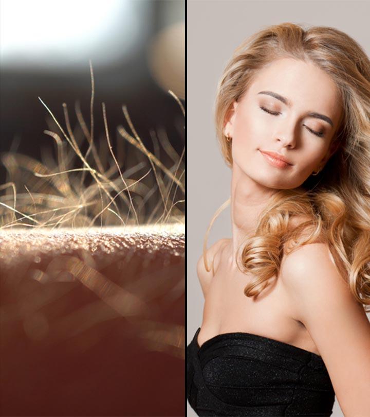 Why The Hair On Your Body Doesn’t Grow As Long As The Hair On Your Head