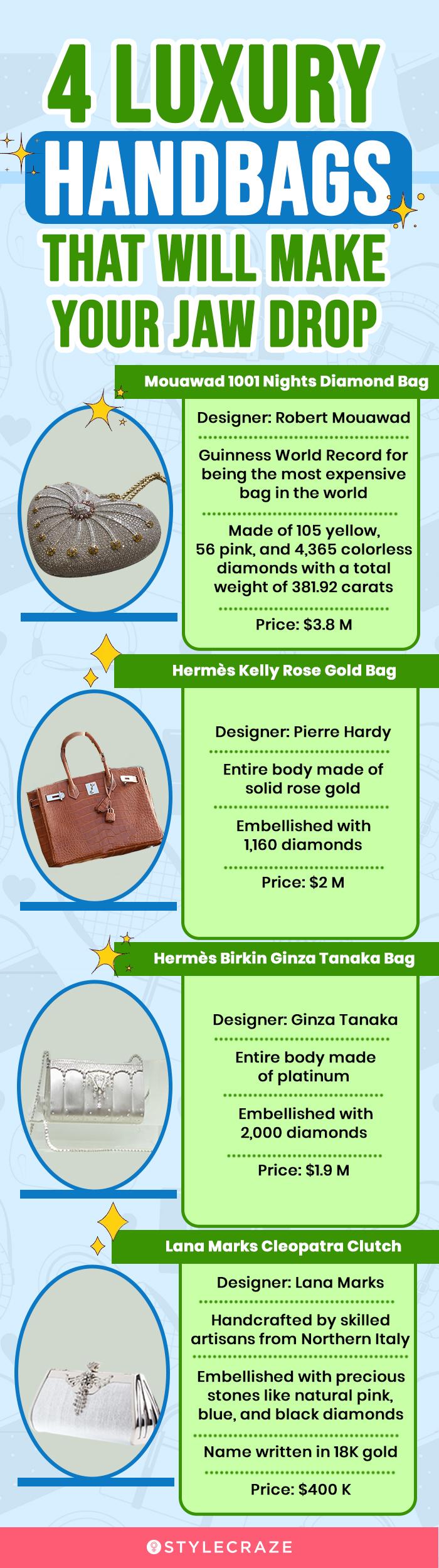 Top 6 Rarest Bags in the World - luxfy