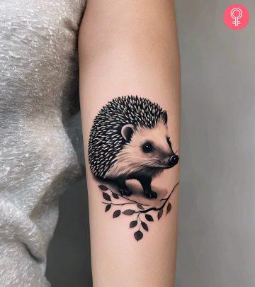 A realistic hedgehog tattoo on a woman’s upper arm A realistic hedgehog tattoo on a woman’s upper arm