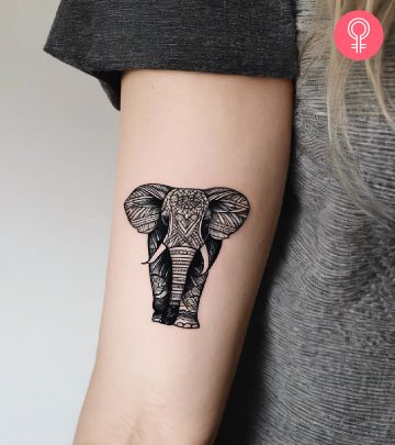 Ornate elephant tattoo on the upper arm of a woman