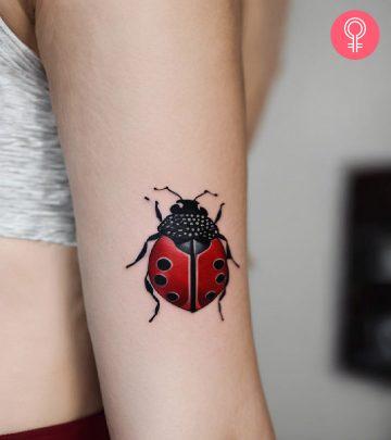 Ladybug Tattoo Ladybug Tattoo