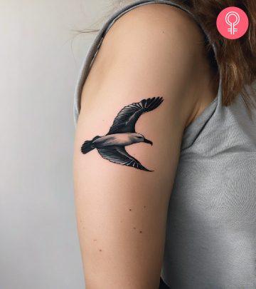 Albatross tattoo on the upper arm Albatross tattoo on the upper arm