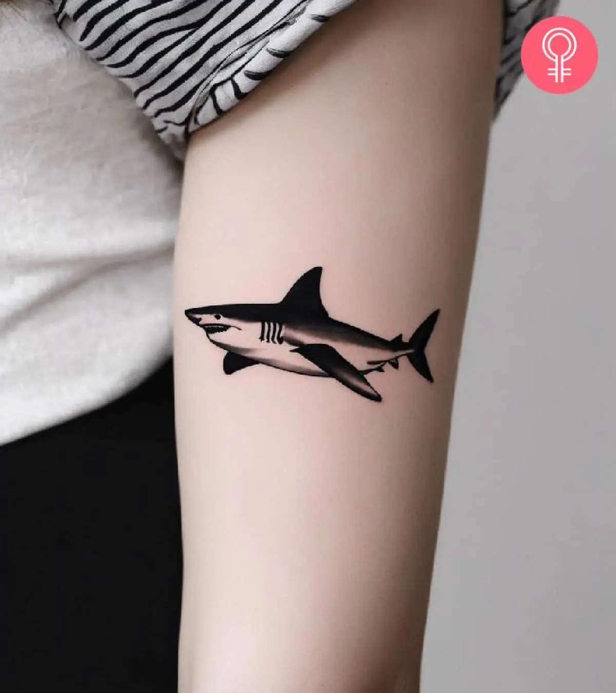 8 Amazing Tiger Shark Tattoo Designs With Meaning