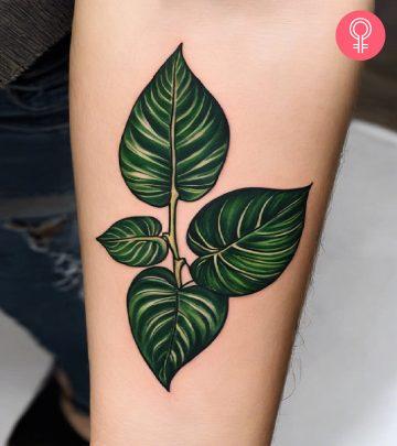 Traditional pothos leaves on the forearm Traditional pothos leaves on the forearm