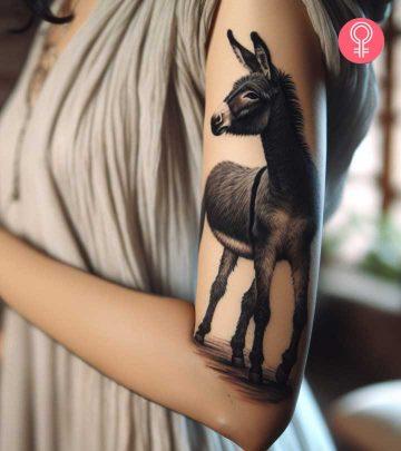 8 Best And Minimalist Donkey Tattoo Ideas With Meanings 8 Best And Minimalist Donkey Tattoo Ideas With Meanings