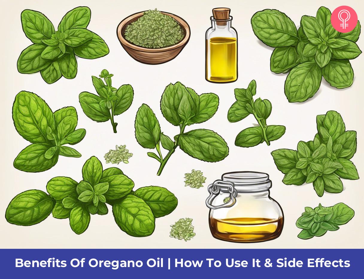 11 Benefits Of Oregano Oil How To Use It & Side Effects