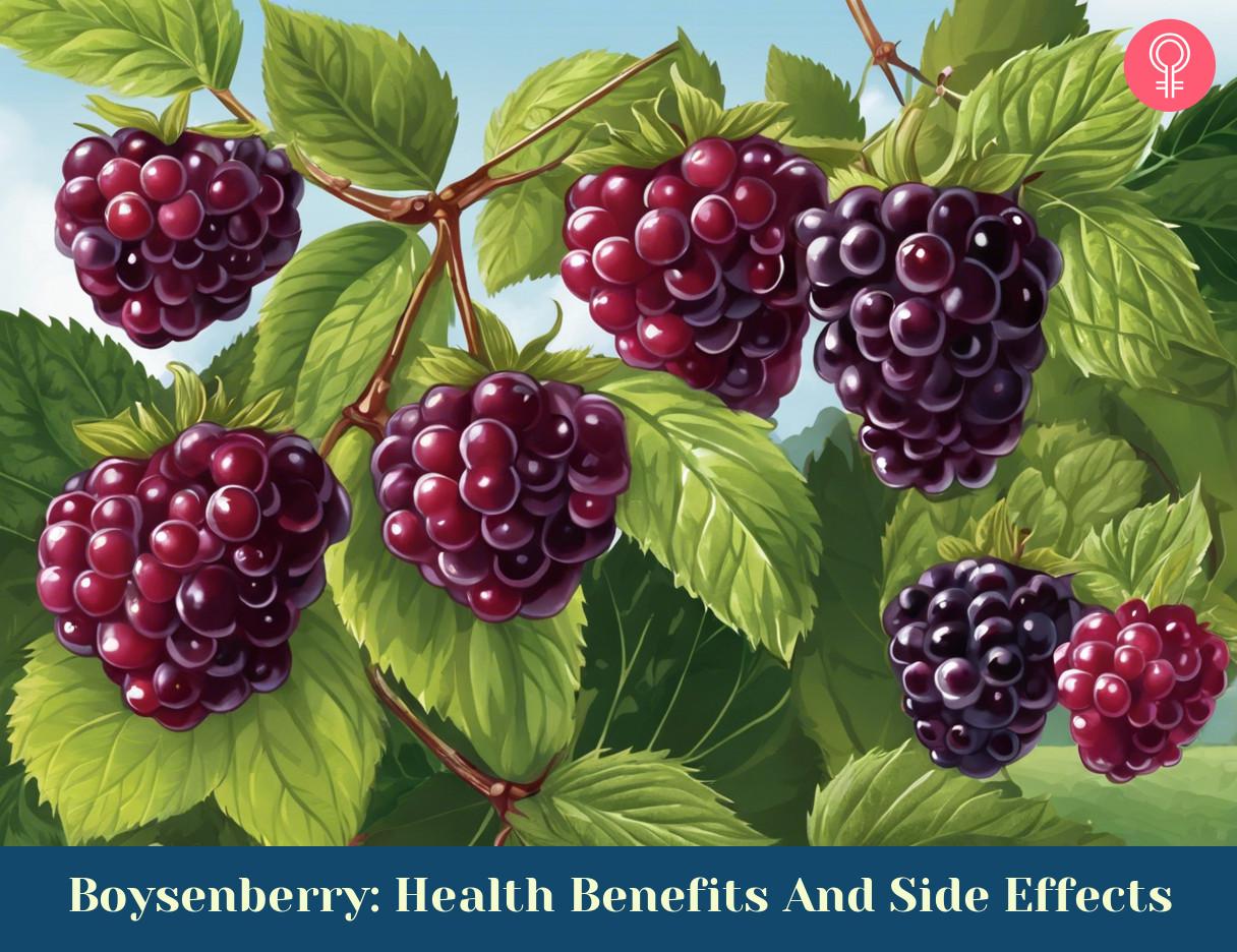 Boysenberry Health Benefits And Side Effects